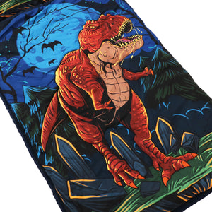 Dinosaur Childs Sleeping Bag with Pillow 